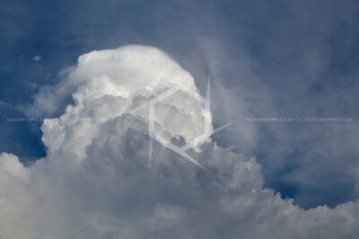 30 01 2012 #21